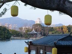 -江心屿景区