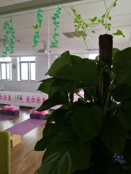 -爱尔乐美孕产瑜伽·普拉提