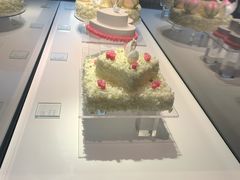 -BLACKSWAN黑天鹅(环球店)