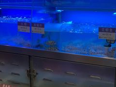 -協成海鮮火鍋(老店)
