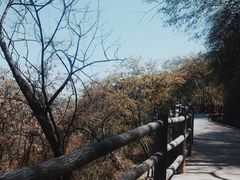 -少华山国家森林公园