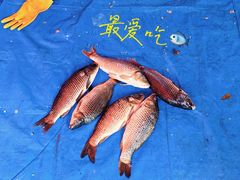 -李村大集