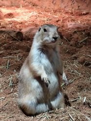 -Zoolung Zoolung动物主题公园(海信广场店)