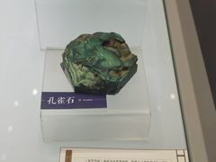 -安徽省地质博物馆
