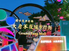 -大唐不夜城