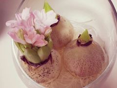 android_upload_pic-焱三乐四川火锅店(经纬街店)