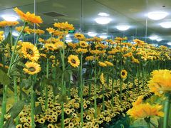 -天津梵高星空艺术馆(天河城旗舰店)