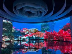 -济南植物园