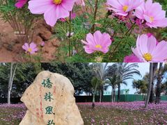 -华侨公园