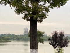 -灞河西岸滨河公园