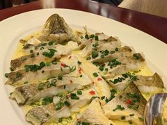 清蒸黄鱼-中国坊中餐厅(石家庄希尔顿酒店)