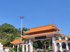 -深圳仙湖植物园