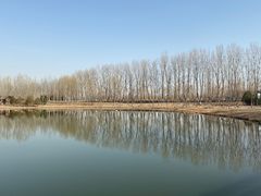 -东郊湿地公园