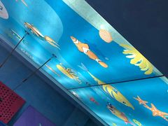 -蓝海星亲子游泳(南中环店)