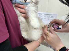 -美联众合动物医院·24h京西诊疗中心