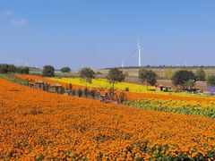 -草原天路(张北县)