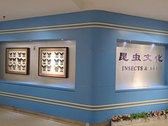 -上海昆虫博物馆