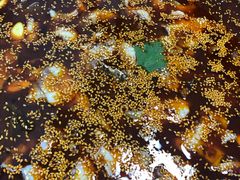 -川渔居—鱼火锅(八方汇店)