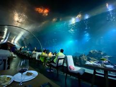 -海棠湾洲际-涛·海底餐厅·美人鱼·自助餐·海底隧道