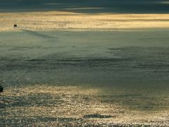 -海港城