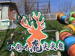 -北京鹿世界主题园