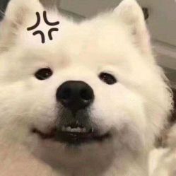 -凡碧诗毛孔收细