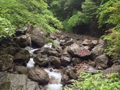 -宁波五龙潭景区