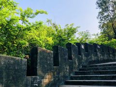 -板樟山森林公园