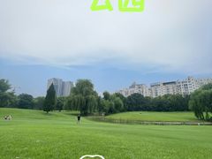 -裕华世纪公园