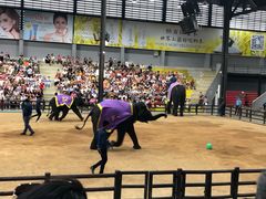 -东芭乐园