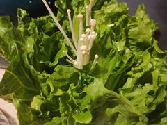-润泽园椰子鸡(汇一城店)