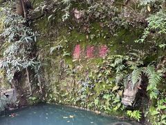 -十八棵（老龙井）御茶园(老龙井店)