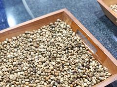 -巴厘岛黄金金兔咖啡工厂