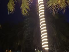 -亚龙湾喜来登·美景台大堂吧