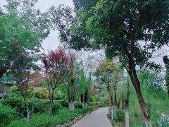 -黑龙潭公园