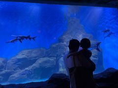 -石家庄海洋公园
