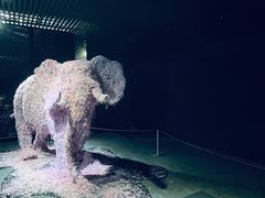 -成都许燎源现代设计艺术博物馆