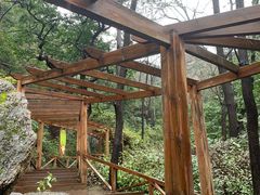 -大岭沟猕猴桃谷风景区