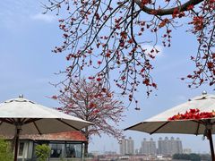 -喜洲吧·江畔老船厂·庭院餐厅(喜临院店)