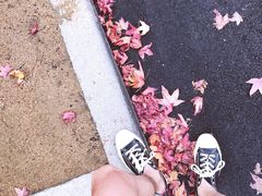 -卡梅尔海
