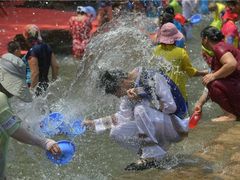 -广州市流溪河国家森林公园