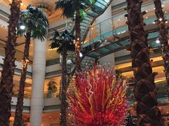 -威斯汀舞台餐厅