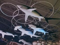 -烟台海昌鲸鲨海洋公园