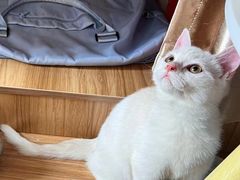 -双龙商场(环城南路店)