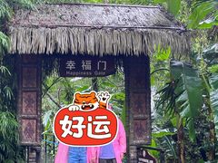-呀诺达热带雨林