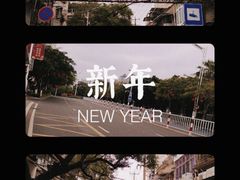 -溪岸路花鸟市场