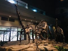 -自贡恐龙博物馆
