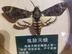 -陕西自然博物馆