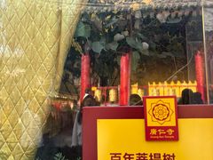 -西安市广仁寺