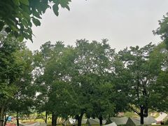 -秀丽东方